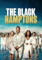 Watch Carl Weber's The Black Hamptons Watch123movies
