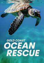 Watch Gold Coast Ocean Rescue Watch123movies