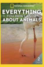 Watch Everything You Didnt Know About Animals Watch123movies