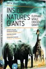 Watch Inside Nature's Giants Watch123movies