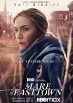 Watch Mare of Easttown Watch123movies