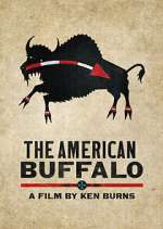 Watch The American Buffalo Watch123movies