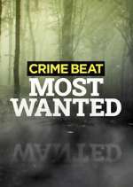 Watch Crime Beat: Most Wanted Watch123movies