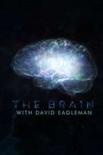 Watch The Brain with Dr David Eagleman Watch123movies