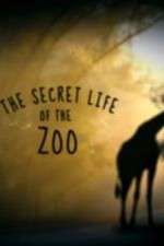 Watch The Secret Life of the Zoo Watch123movies