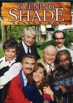 Watch Evening Shade Watch123movies