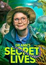 Watch Dr Ann\'s Secret Lives Watch123movies